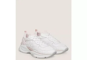 SW TRAINER