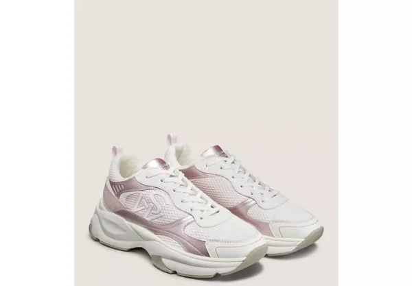 SW TRAINER
